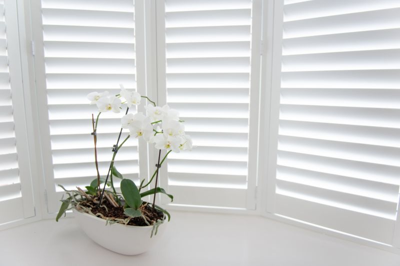 Louvered Shutters Installation in Kansas City, MO